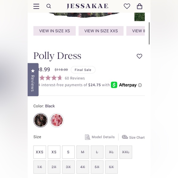 NWT JessaKae Polly Dress (2X) - Picture 9 of 12